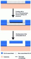 Figure 10 - Schematic diagram of a microfluidic device based on an SU-8 sacrificial layer strategy