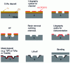 Figure 21 - Microstructuring process for an instrumented glass microfluidic chip