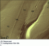 Figure 12 - Various tracks in the Haye forest (az.315°/el.10° shading – Haye 2007 lidar data – DRAC/INRA/ONF)