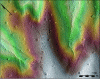 Figure 19 - Fénétrange forest: mardelles and old undated plots (combined shading and colored DTM) (RFF 2008 lidar data)