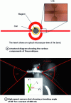 Figure 15 - Prototype nanodrone with flexible-link transmission [41].