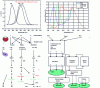 Figure 3 - Real human visual perception and its adaptation to electronics