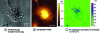 Figure 11 - Model cell called THP-1 (macrophage) incubated for 4 h with PLA Nps. a) full-field light microscopy image, b) topography image and c) IR mapping at the absorption wavelength (1,770 cm-1) of PLA (false purple color – non-absorbing parts appear in green). Adapted with permission Part. Part. Syst. Charact. 2018, 35, 1700457. Copyright: 2018 WILEY-VCH Verlag GmbH & Co. KGaA, Weinheim