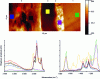 Figure 8 - AFM-IR analysis carried out on a lamellar multilayer film. Top: topography image; bottom: different spectra recorded for the different layers (areas indicated by coloured squares), then compared with databases to determine their composition.