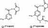 Figure 14 - Prosthetic groups for improved intracellular retention of catabolites resulting from internalized antibody degradation