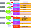 Figure 5 - Decision tree for planting TTCR on ISDND (choice of TTCR species)
