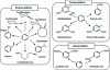 Figure 12 - Examples of products synthesized using the BTX platform