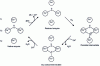 Figure 21 - Laccase catalytic cycle