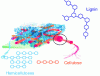 Figure 3 - Plant cell wall structure