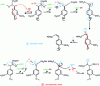 Figure 8 - Mechanisms for breaking β-O-4 bonds during the kraft process (from [20])