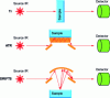 Figure 1 - Schematic diagram of the different detection modes (Tr, ATR and DRIFTS) (from [1])