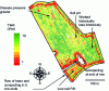 Figure 2 - Example of sources of yield variability on a wheat plot