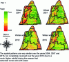 Figure 3 - Spatial yield patterns over four years on a wheat plot (source: [7])
