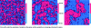 Figure 4 - Examples of different levels of spatial variability