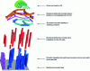 Figure 3 - 3D exploded view of the different parts of the main artificial reef