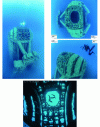 Figure 33 - Photos of the artificial reef after two months of immersion