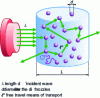 Figure 2 - Multiple light scattering