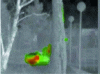 Figure 7 - False color visualization of a butane cloud