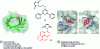 Figure 23 - Crystal structure of the protein nitrobindin (PDB ID: 3WJB)