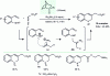 Figure 12 - Tandem reaction in the presence of allenoate substrates