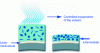 Figure 6 - Formation of a film charged with disinfectant droplets