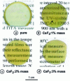 Figure 5 - SPS-densified pellets of pure and CaF2-doped AlN (reproduced with permission from  © 2005 Elsevier Ltd.).