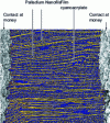 Figure 1 - Scanning electron microscopy of the active part of a hydrogen sensor based on palladium nanowires