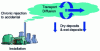 Figure 1 - Main mechanisms involved in atmospheric transfer