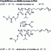 Figure 11 - Formation of heat-sensitive micelles in aqueous media based on LCST control