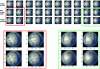 Figure 9 - Qualitative example of fisheye image predictions by the PhyDNet model