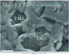 Figure 4 - Electron microscopy image of the surface of a Ni-talc deposit (TEMSCAN SEM, UPS Toulouse III).