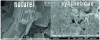 Figure 6 - Comparison (SEM-FEG scanning electron microscopy images, TEMSCAN, UPS, Toulouse III) between the particle size of a natural talc after grinding and that of an unground synthetic talc extracted from the hydrothermal reactor.