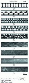 Figure 6 - Generation of foams (water + surfactant/air) with controlled properties (from )