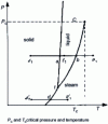 Figure 2 - Phase equilibrium diagram (P, T )