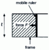 Figure 9 - Soap film with variable surface area