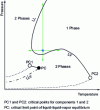 Figure 3 - PT diagram for a binary system, type 3 of the Van Konynenburg and Scott classification