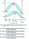 Figure 1 - Homoazeotropic A, B at high point