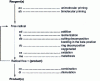 Figure 2 - Algorithm for generating an exhaustive primary alkane oxidation mechanism