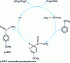 Figure 17 - Mechanism of acetylation of anisole by acetic anhydride