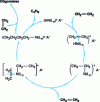 Figure 5 - Ethylene dimerization: degenerate polymerization mechanism