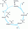 Figure 2 - Hydroformylation of alkenes: Heck and Breslow mechanism