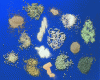 Figure 1 - Different types of heterogeneous catalysts (© IFPEN/Patrick Chevrolat)