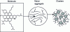 Figure 3 - Schematic representation of an asphaltene molecule and its various physicochemical states (molecular, aggregate, cluster) (after [2])