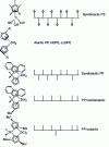 Figure 21 - Relationship between metallocene and polymer structure