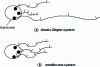 Figure 22 - How comonomers are incorporated