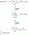 Figure 26 - Alternation mechanism proposed by Drent (according to )