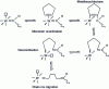 Figure 32 - ROMP propagation mechanism