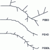 Figure 6 - PE varieties