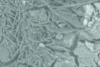 Figure 12 - Scanning electron microscopy (SEM) image of a sulfate-rich titanium compound on the surface of a catalyst that has lost its activity [26].