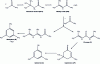 Figure 12 - Adolic condensation of acetone